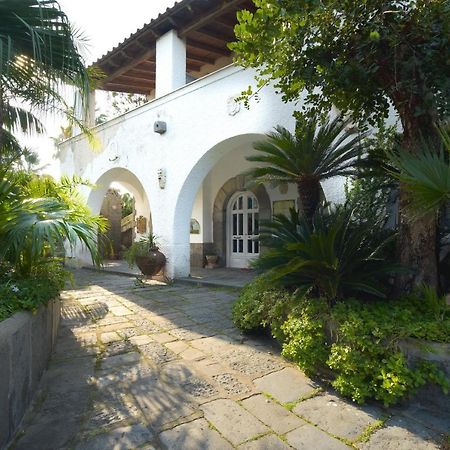 B&B Villa Regine Forio di Ischia Eksteriør bilde