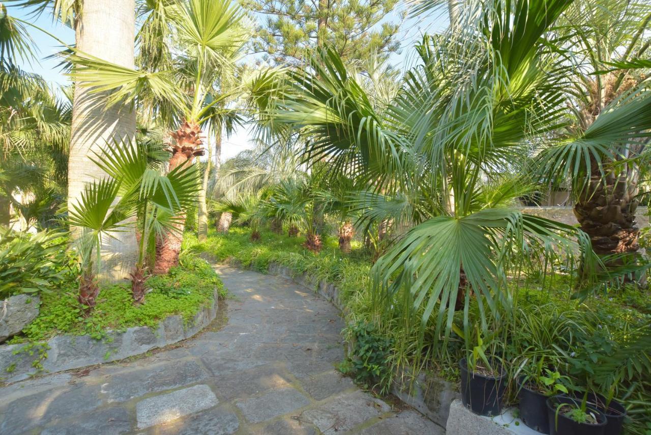 B&B Villa Regine Forio di Ischia Eksteriør bilde